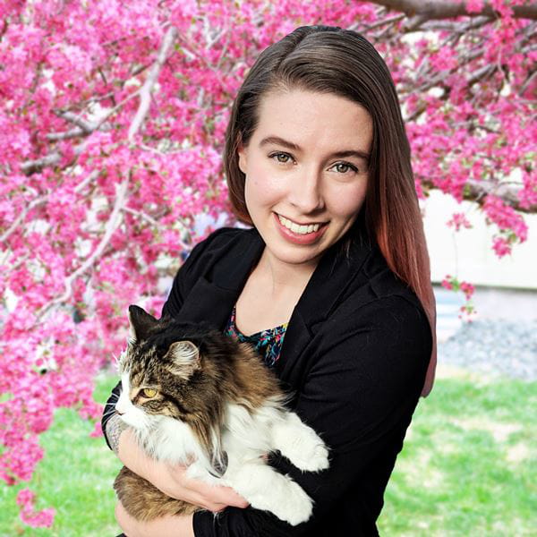 Rochester Lap Of Love Mobile Veterinarians